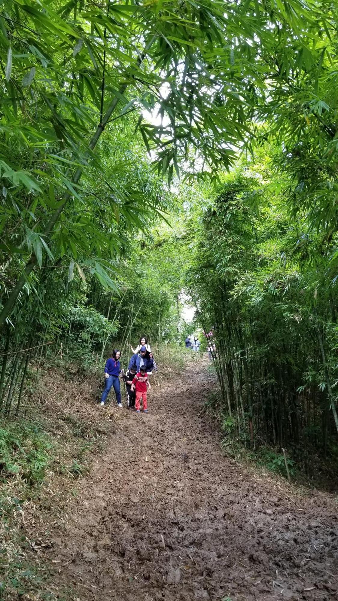 Tavan Dragon House ラオカイ エクステリア 写真